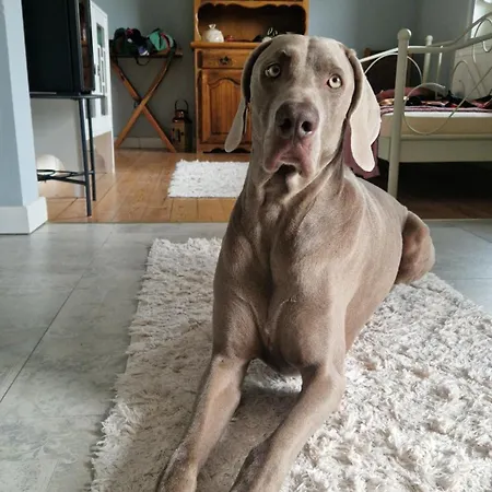 Bergmannhaus Дом отдыха *