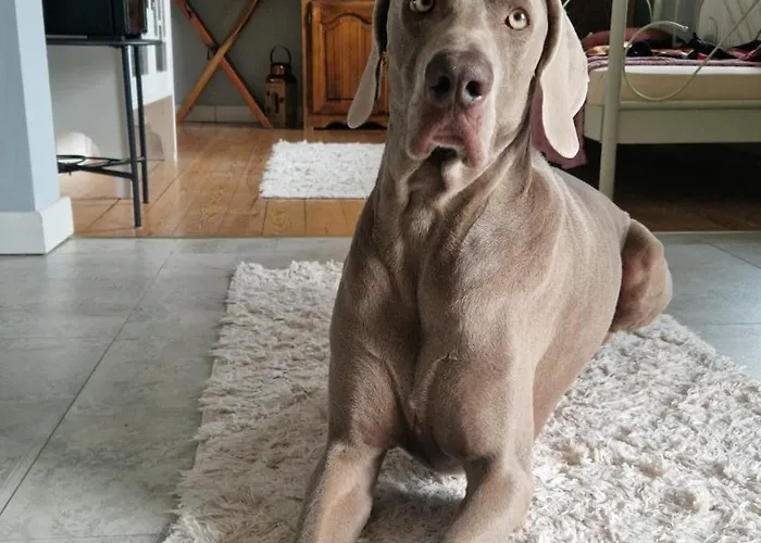 Bergmannhaus Hébergement de vacances *